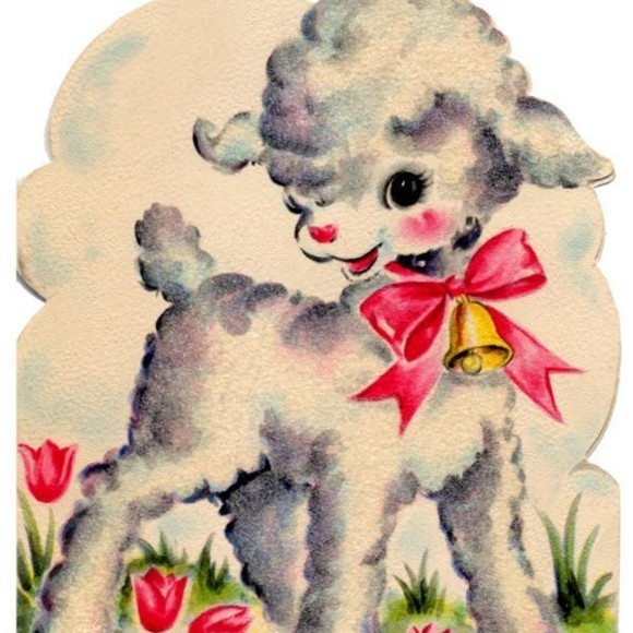 Meet your Posher, Jordan - Picture 1 of 1